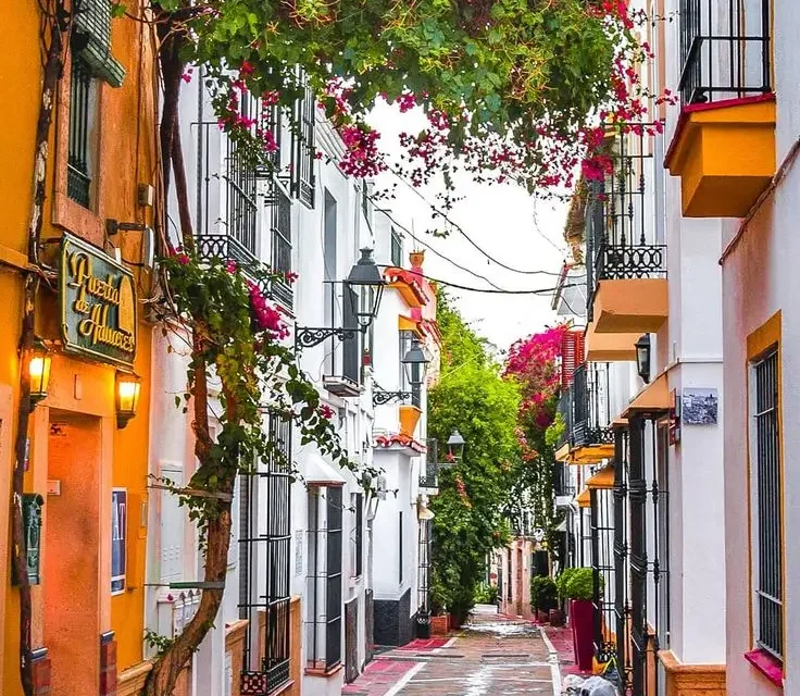 7 cosas que no te puedes perder en Marbella