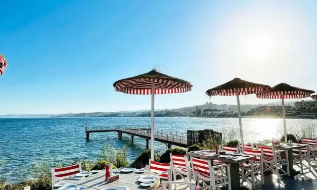 Descubre los Mejores Lugares para Comer en Estepona