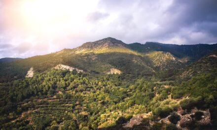 Parque Natural Sierra de las Nieves