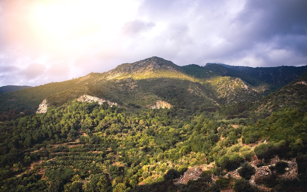 Parque Natural Sierra de las Nieves